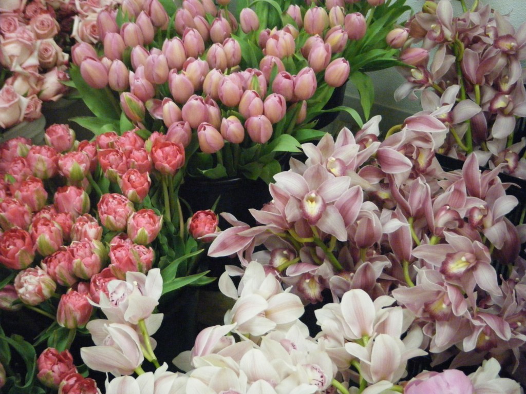 Pink Tulips – Pink Orchids-c