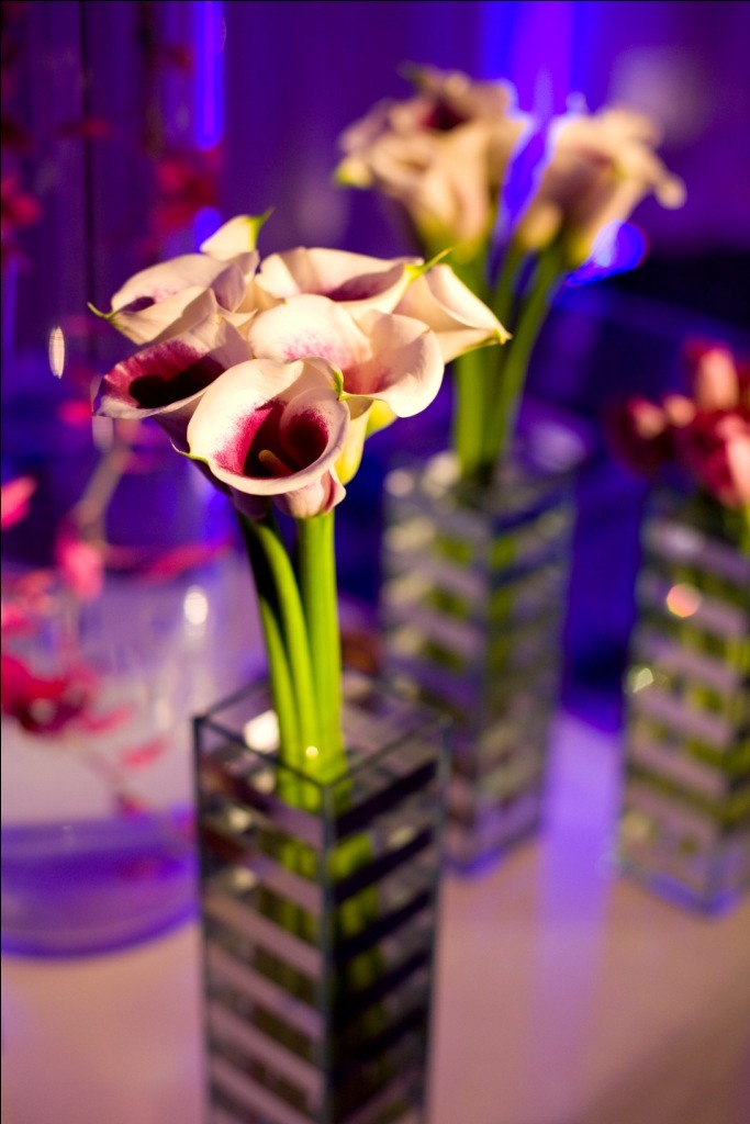 mirror vases picasso purple calla lilies blue lighting evantine design melissa paul