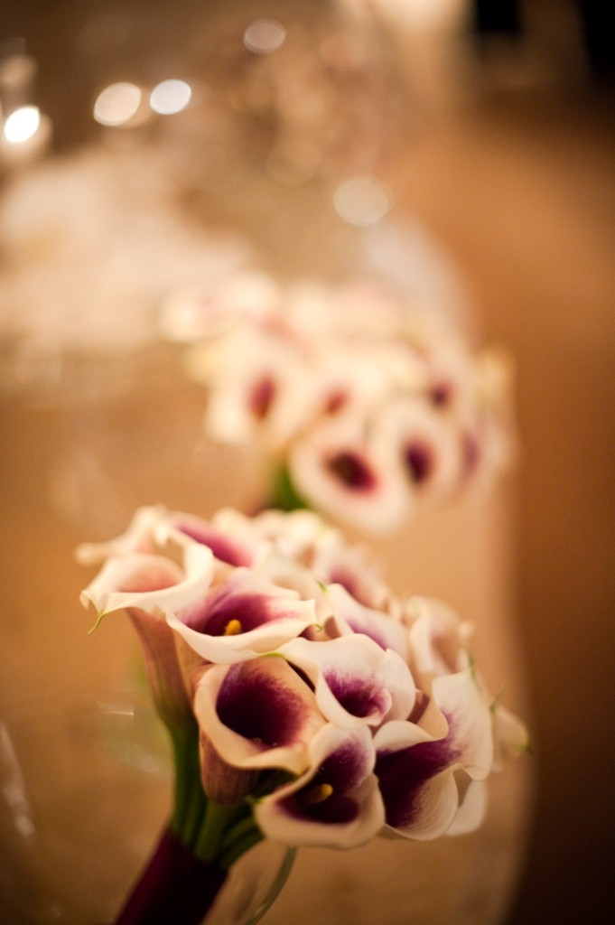 bridal bouquets picasso mini callas purple callas simple bouquets evantine design