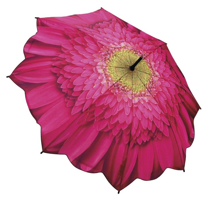 pink daisy umbrella pretty parasols evantine design shop