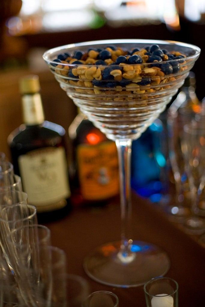 barsnacks-bluecoatgin-charityevents-philadelphia-evantinedesign-petercallahan