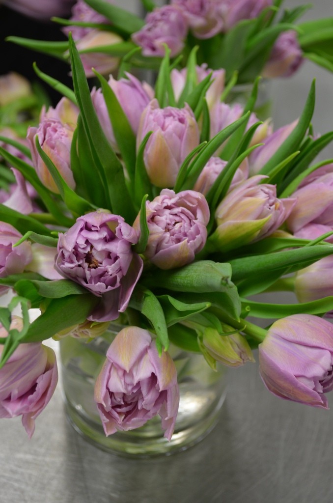 purple tulips glass vases modern floral arrangements evantine design philadelphia florists