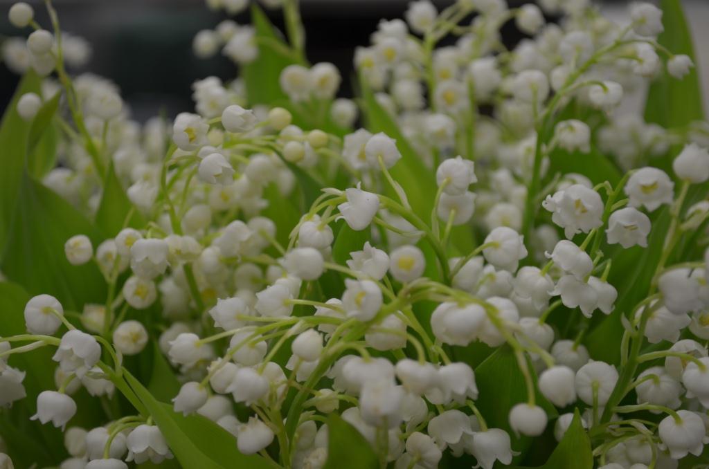 white lily of the valley traditional wedding flowers evantine design