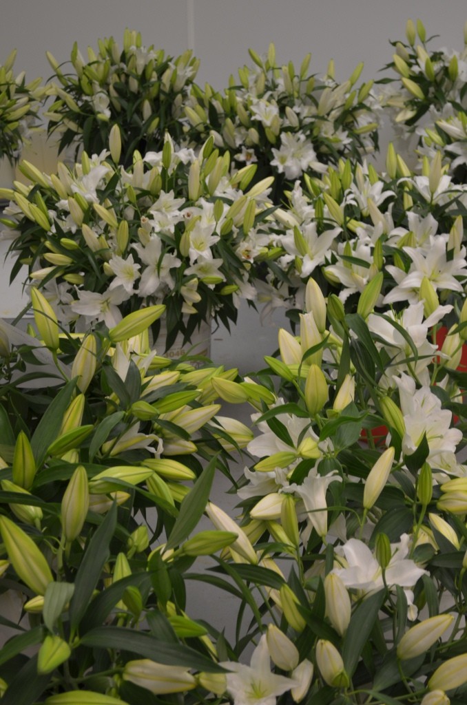 white oriental lilies fragrant wedding flowers philadelphia event designers