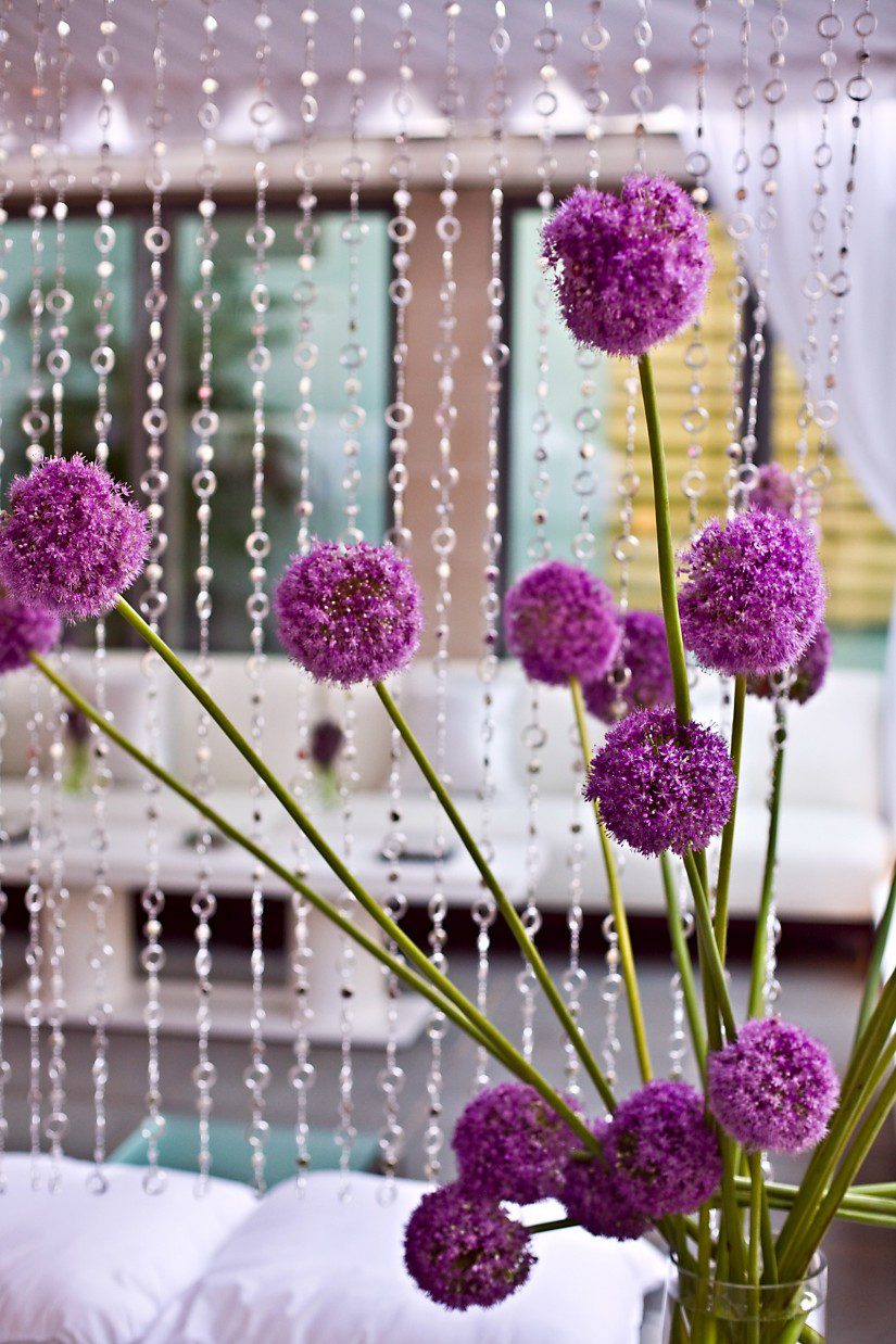 King Allium Purple Flowers White Lounge Parties Evantine