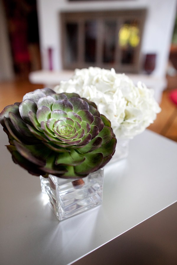 Succulents Hydrangea Modern Minimalist Weddings Philadelphia