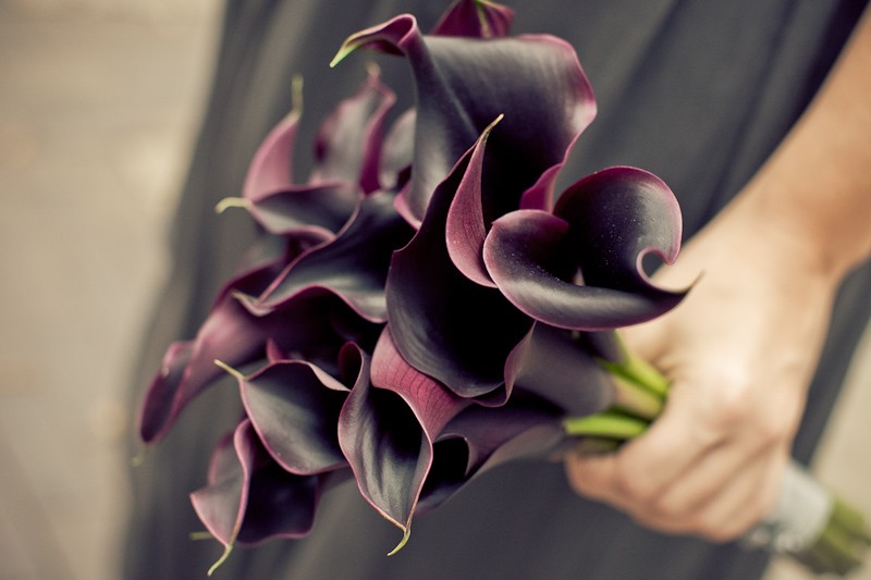 Plum Mini Calla Bridal Bouquet Evantine Design