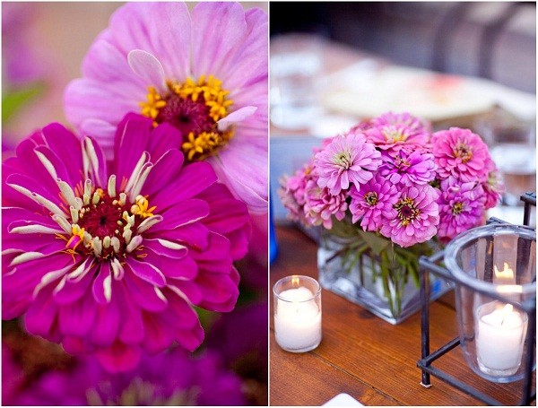 purple zinnias summer weddings evantine design