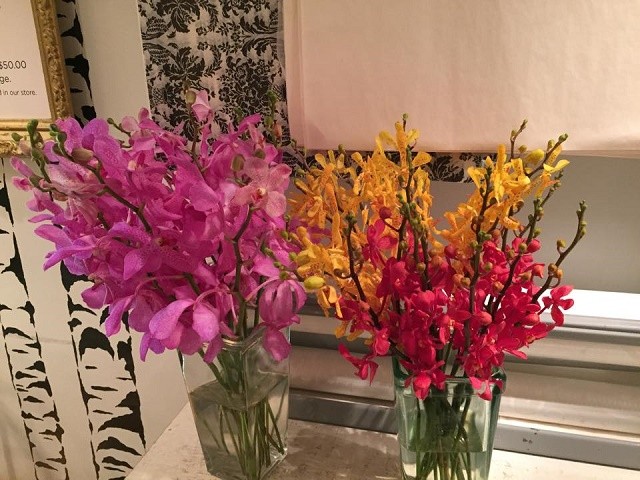 orchids for valentines day philadelphia florists evantine