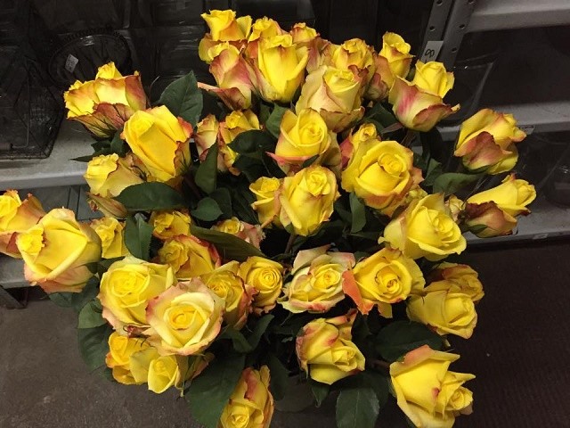 yellow roses valentines day philadelphia florists evantine