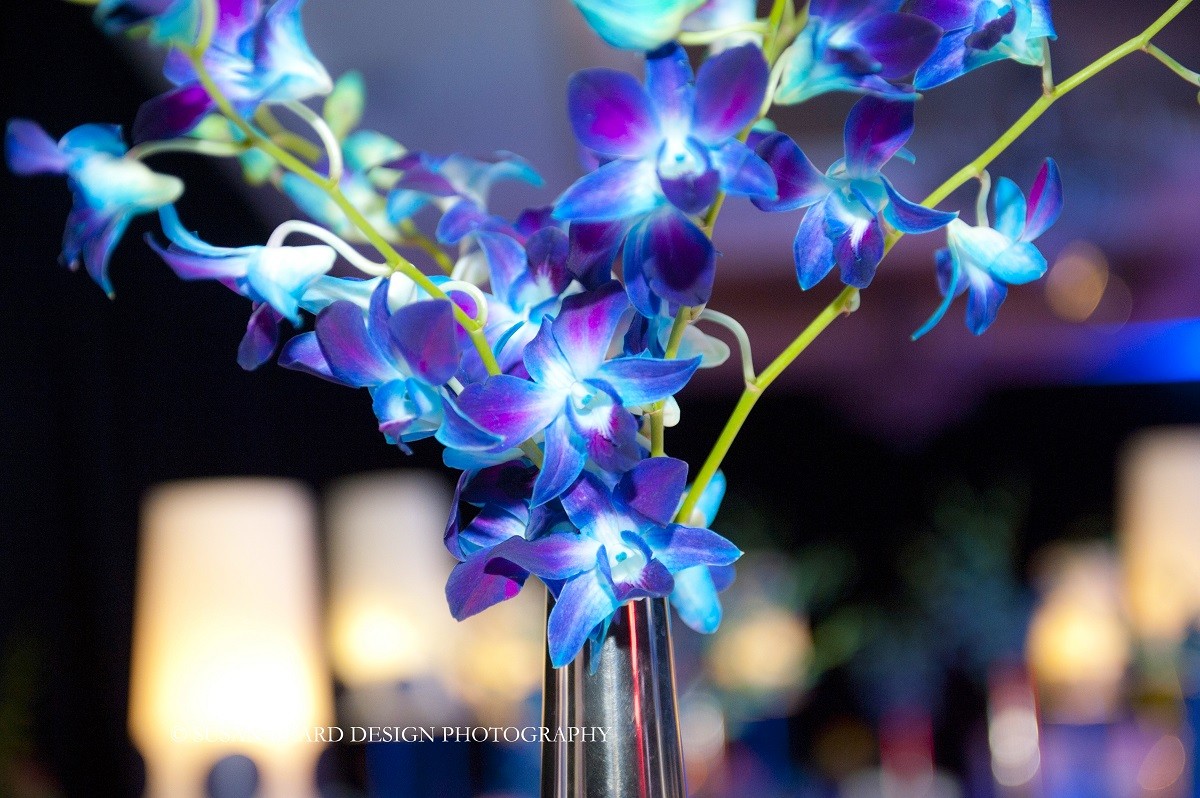 blue orchids philly event designers evantine design susan beard design
