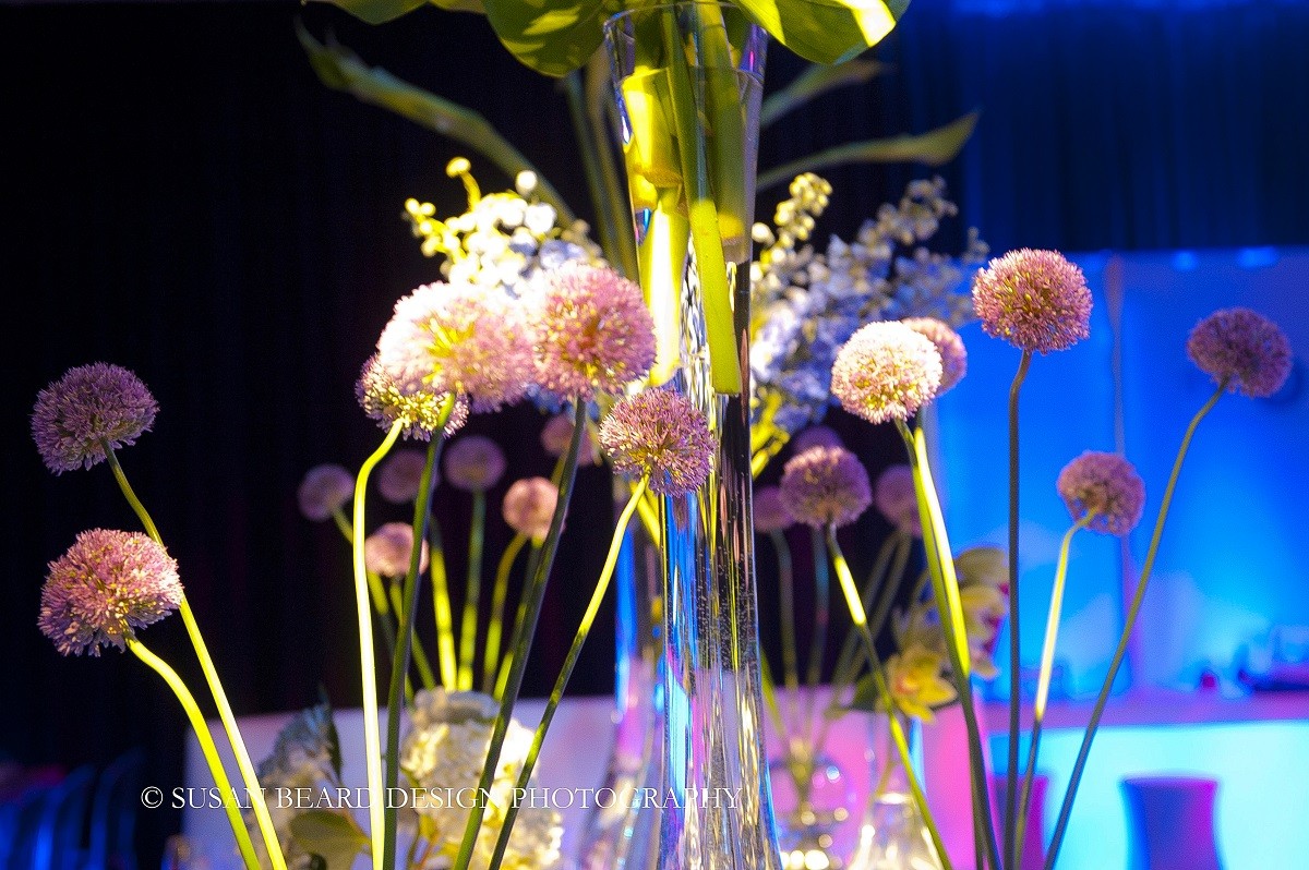 contemporary glass vases with purple allium flowers evantine design susan beard photo