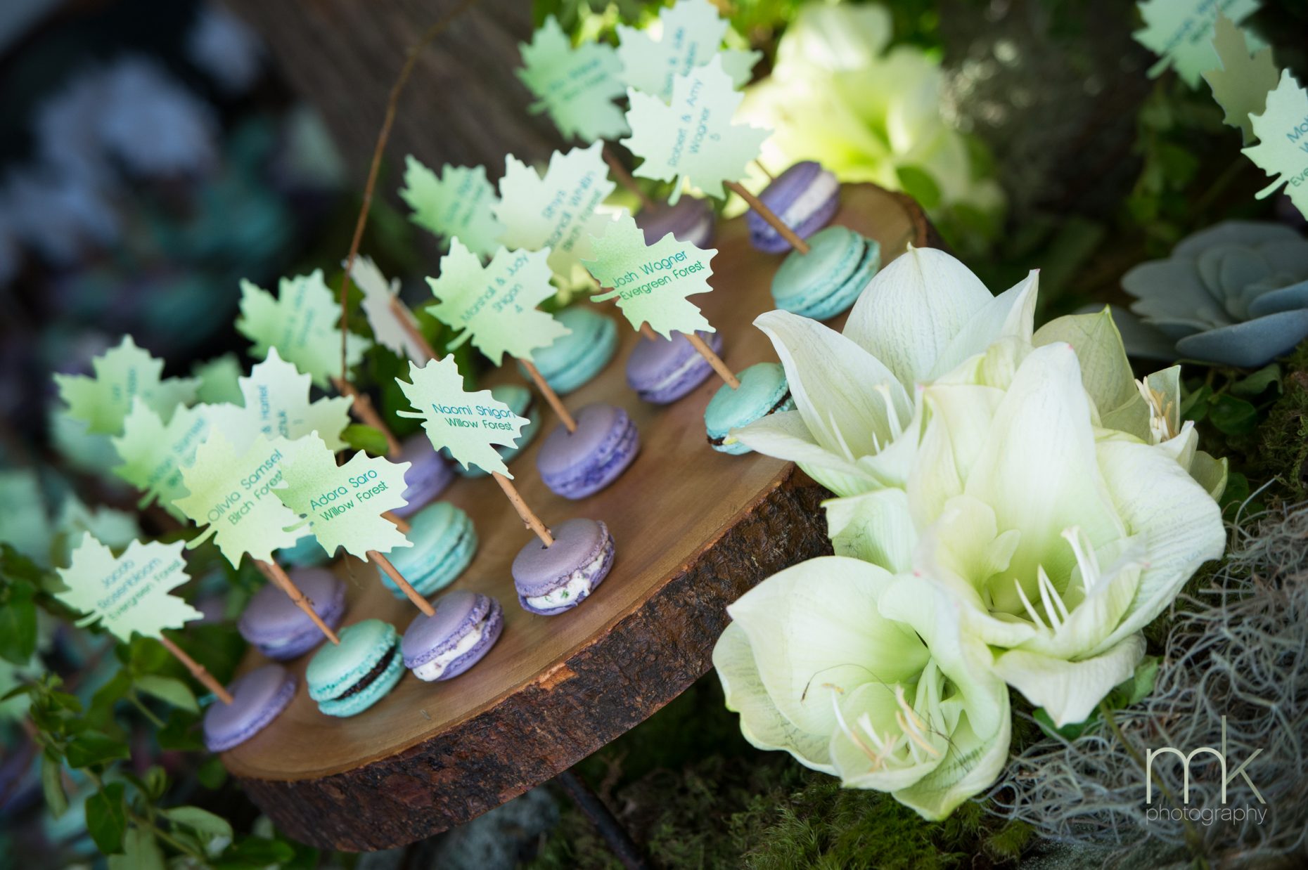 macaron place cards evantine design event design bat mitzvahs ideas philly mitzvahs mk photo