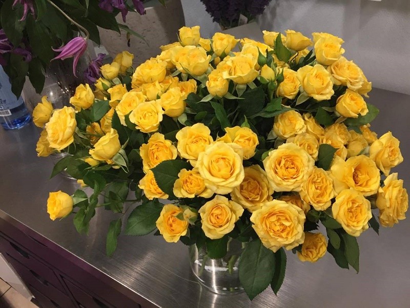 yellow roses mothers day fresh flower delivery philadelphia florists evantine design