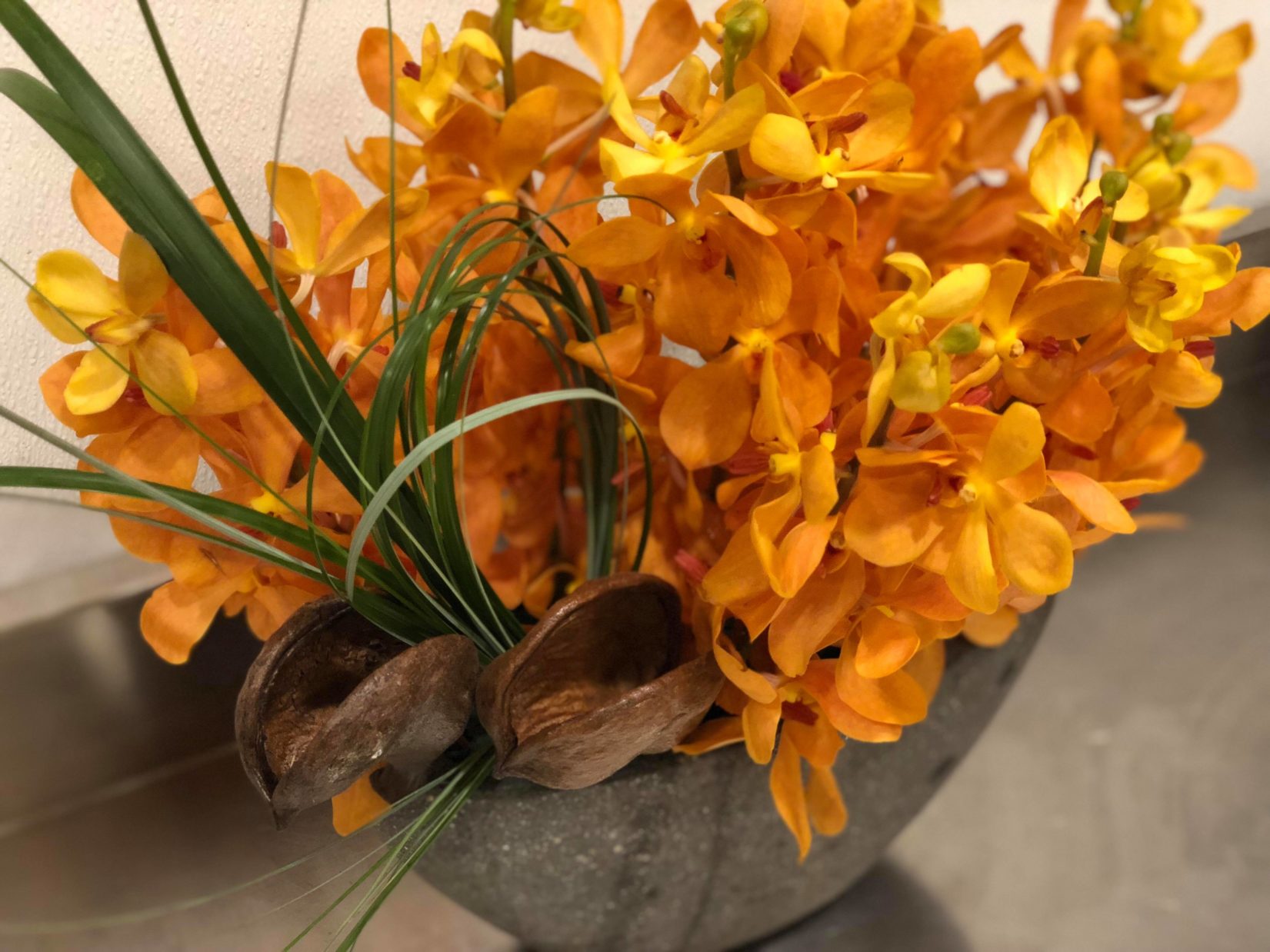 Orchid Floral Arrangement Shop Evantine Design Philadelphia Florists