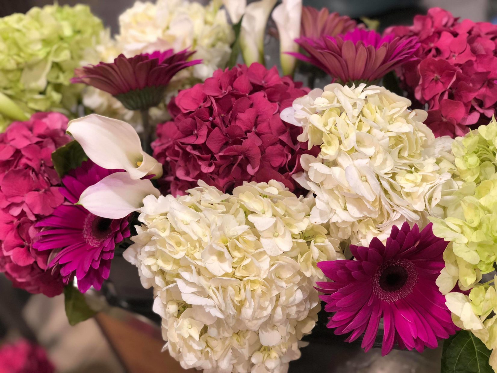 Valentines Day Flowers White Hydrangea Hot Pink Gerbera Evantine Design Shop Philly Florists