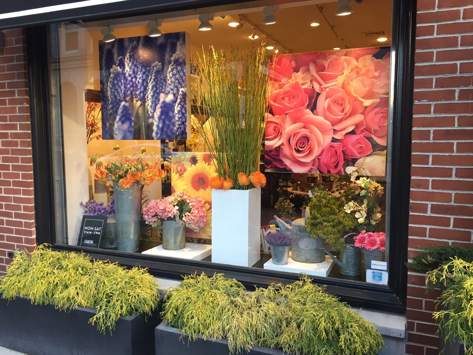 Wash West Retail Stores Philadelphia Florists Evantine Design