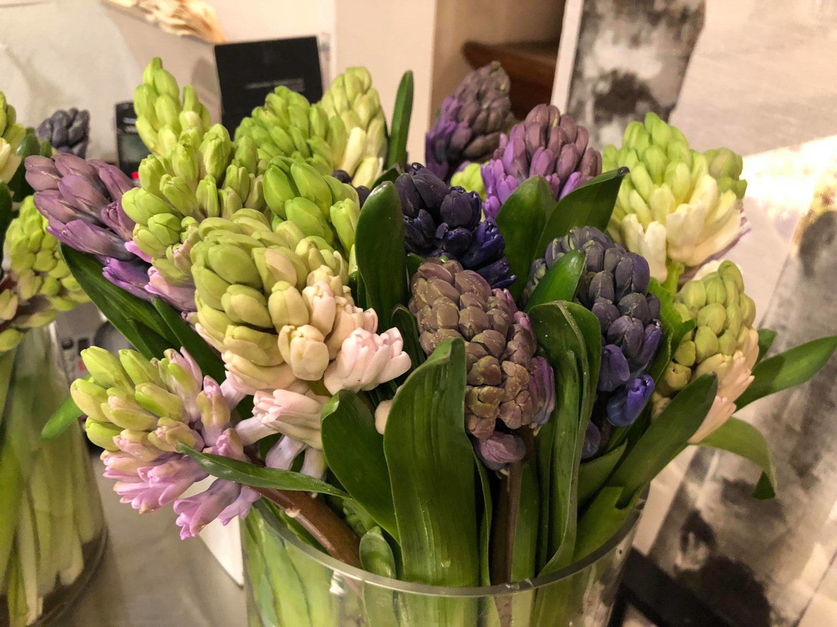 hyacinth spring flowers valentines day evantine design philadelphia florist