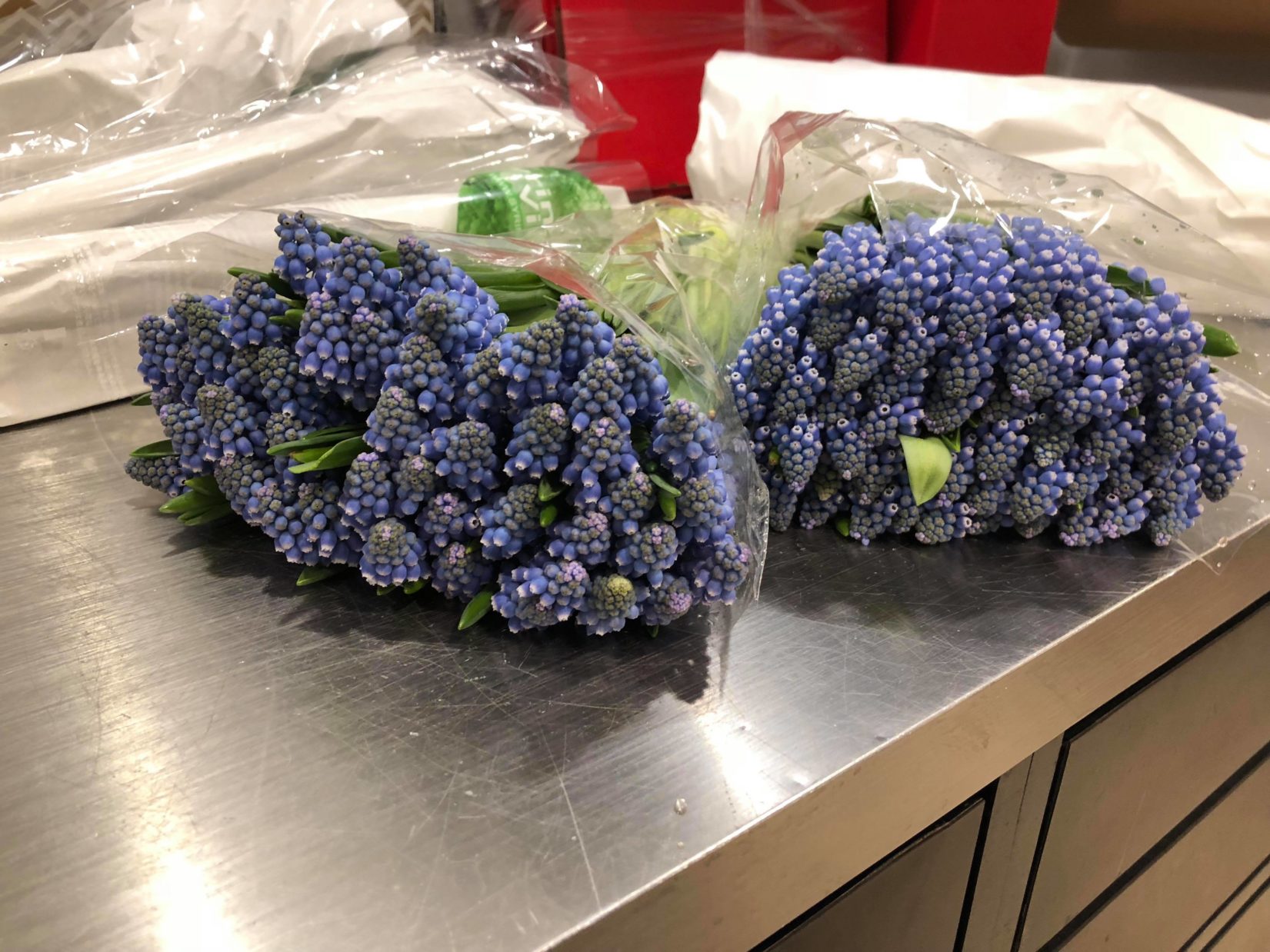 muscari shop evantine design philadelphia florists