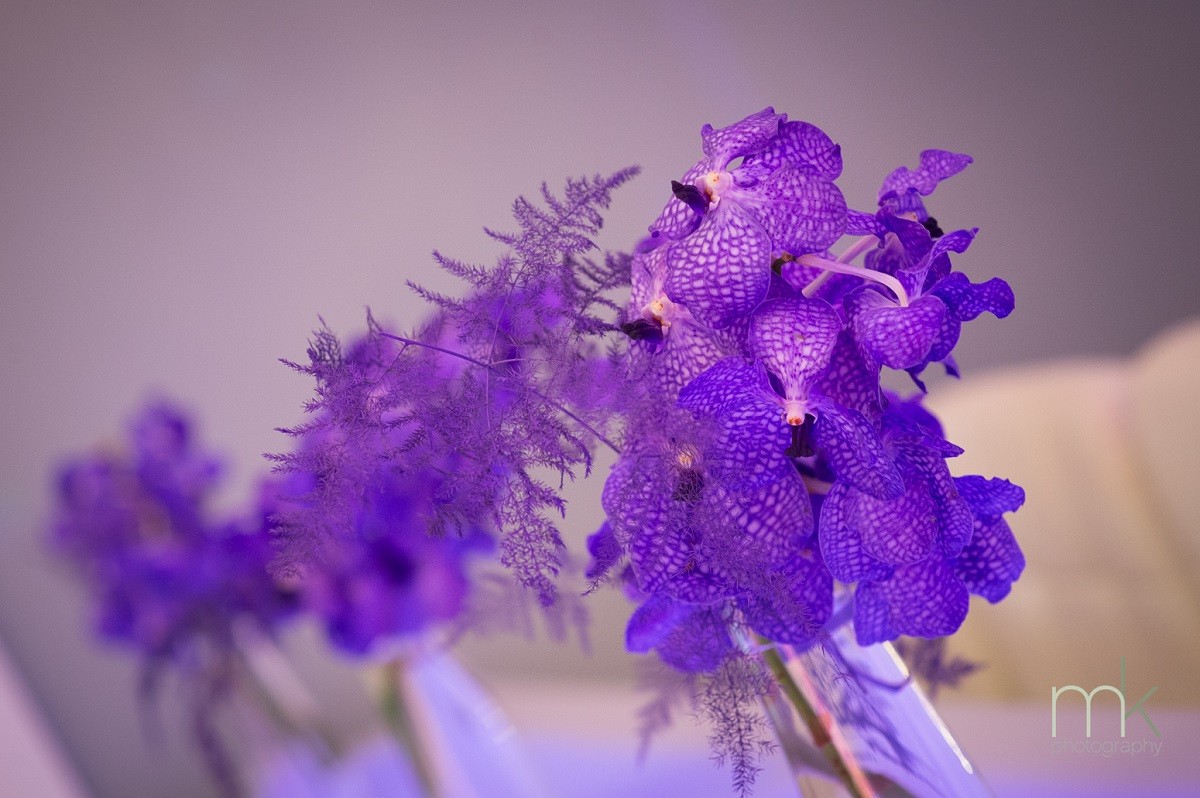 modern floral arrangements purple orchids kids parties philly