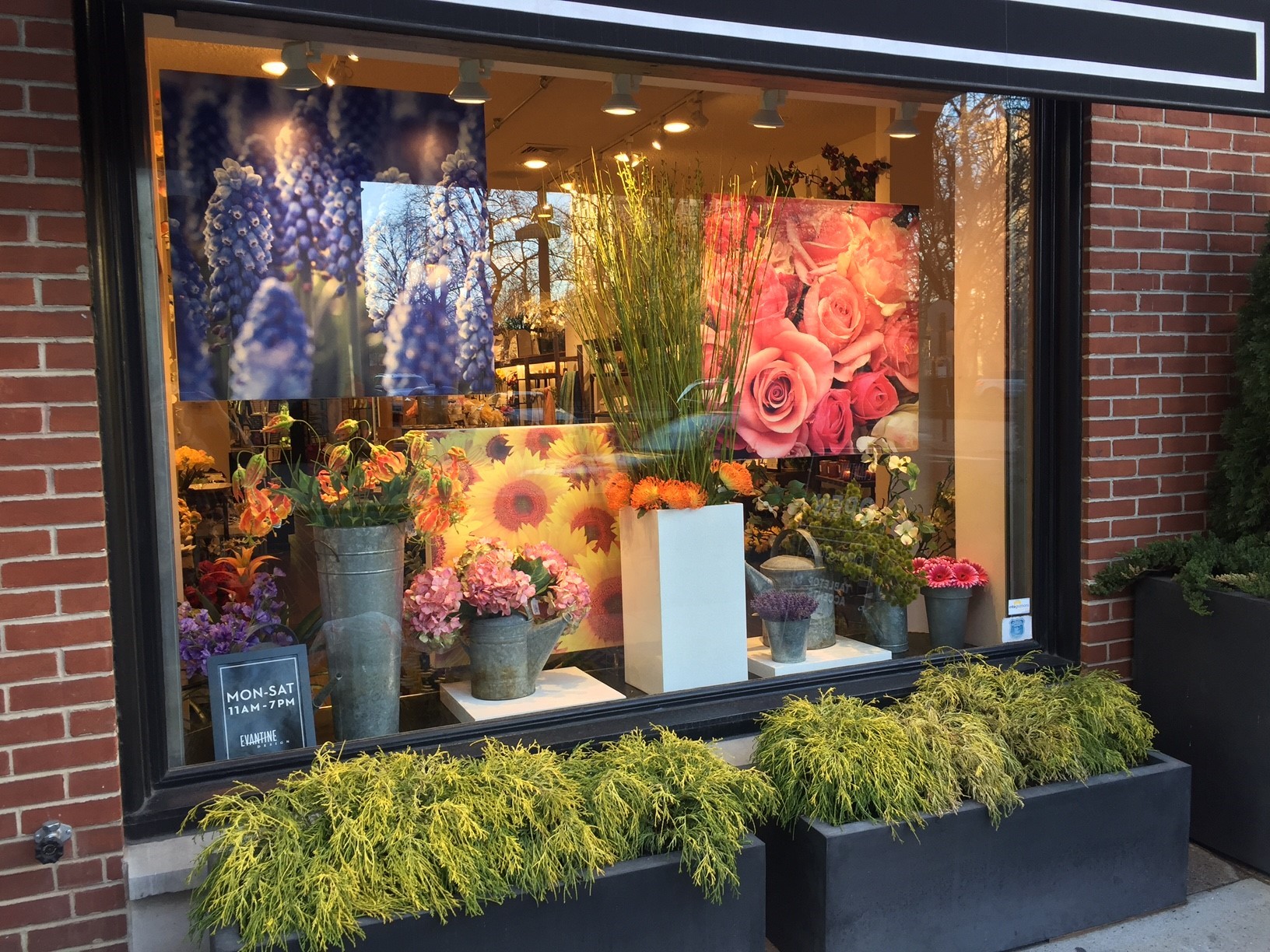 ShopEvantine Design Philadelphia Florists Fine Gift Stores Wash West Retail