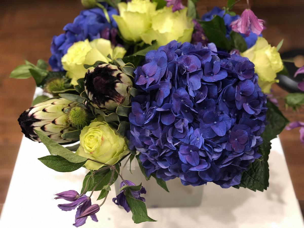 Blue Hydrandea Protea Clematis Floral Arrangements for Delivery Philadelphia